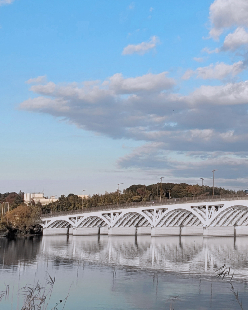 わたしたちについて